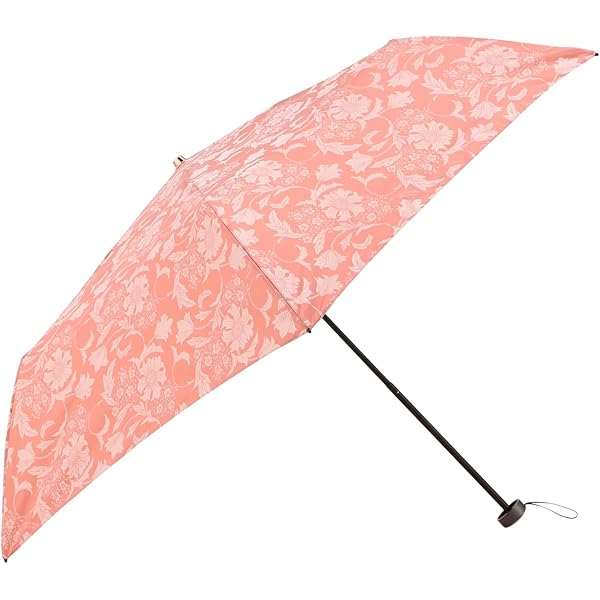 Amazon | [マッキントッシュ ロンドン] アンドリュー柄雨傘